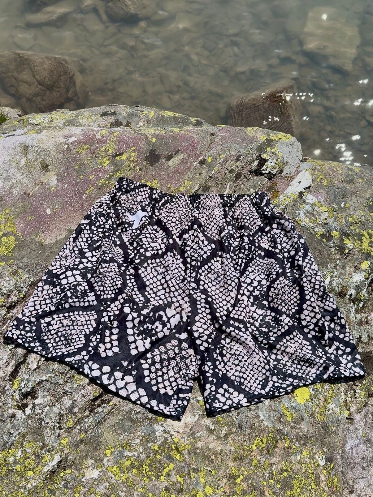 REPTILE TRUNKS